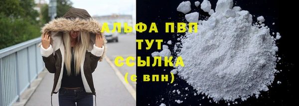 мяу мяу мука Богданович